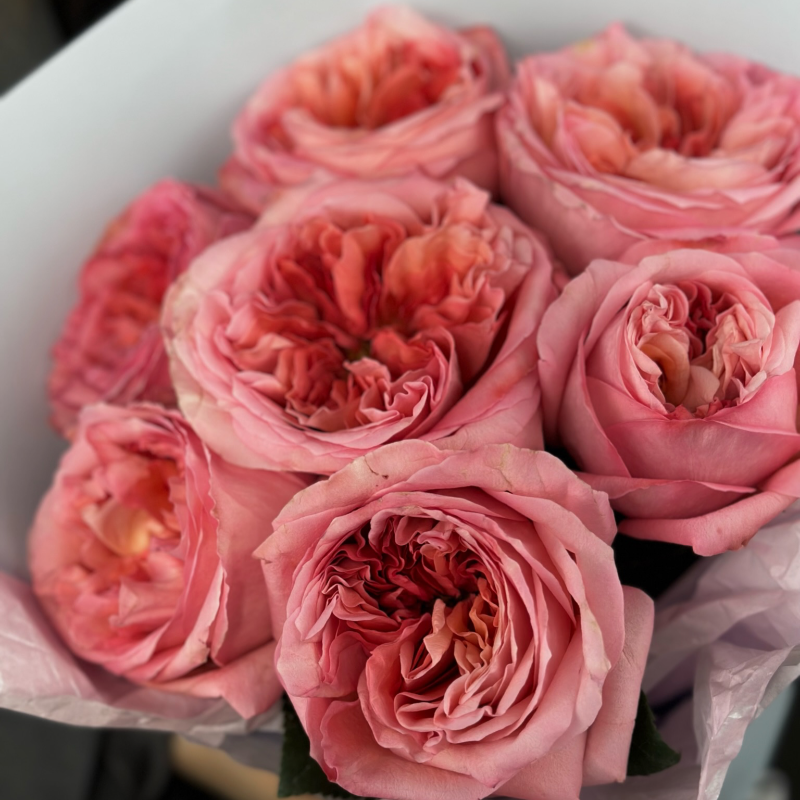 Букет 7 пионовидных роз
