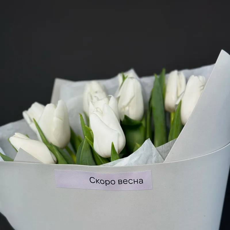 11 белых тюльпанов