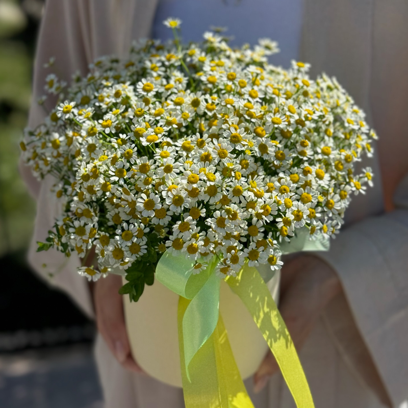Композиция «Ромашки луговые»
