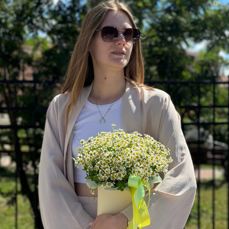 Композиция «Ромашки луговые»