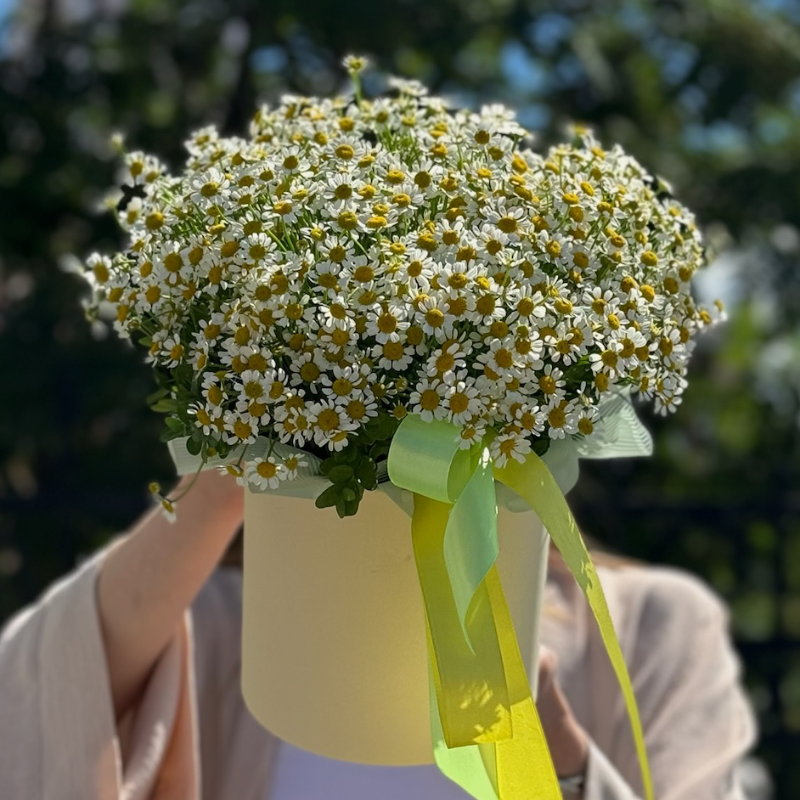 Композиция «Ромашки луговые»