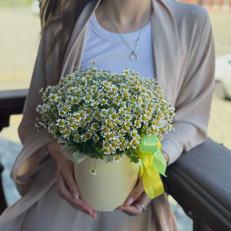 Композиция «Ромашки луговые»
