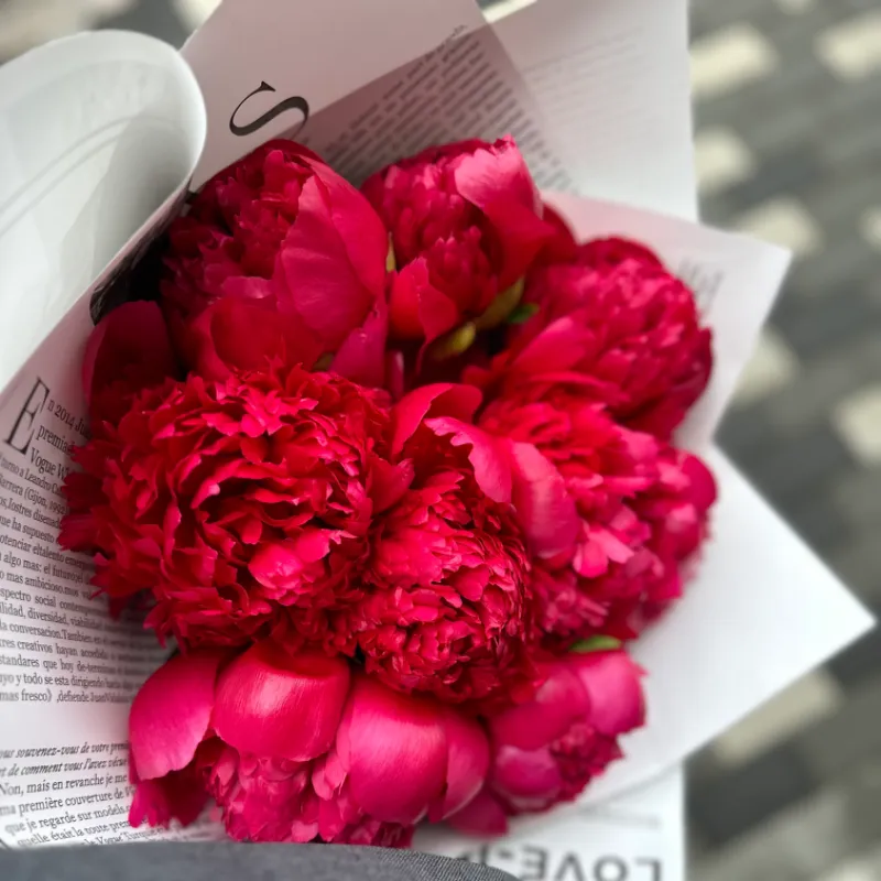 Букет пионов «Бордо»