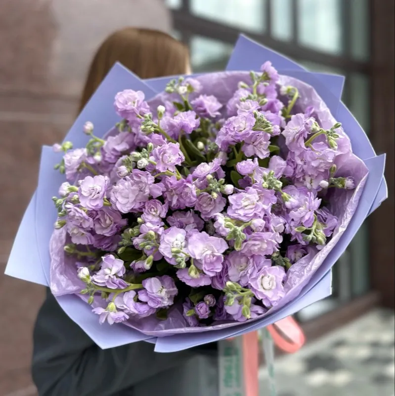 Монобукет 9 кустовых маттиол