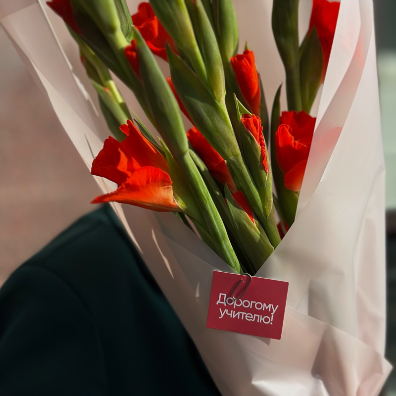 Гладиолус