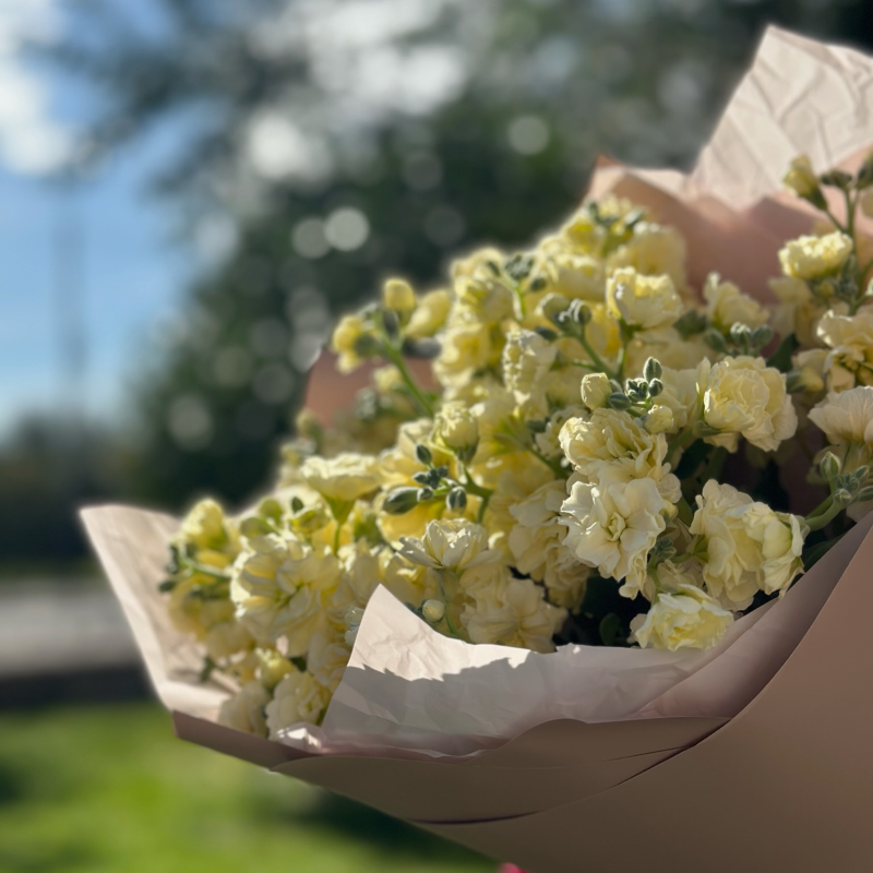Моно «7 лимонных маттиол»