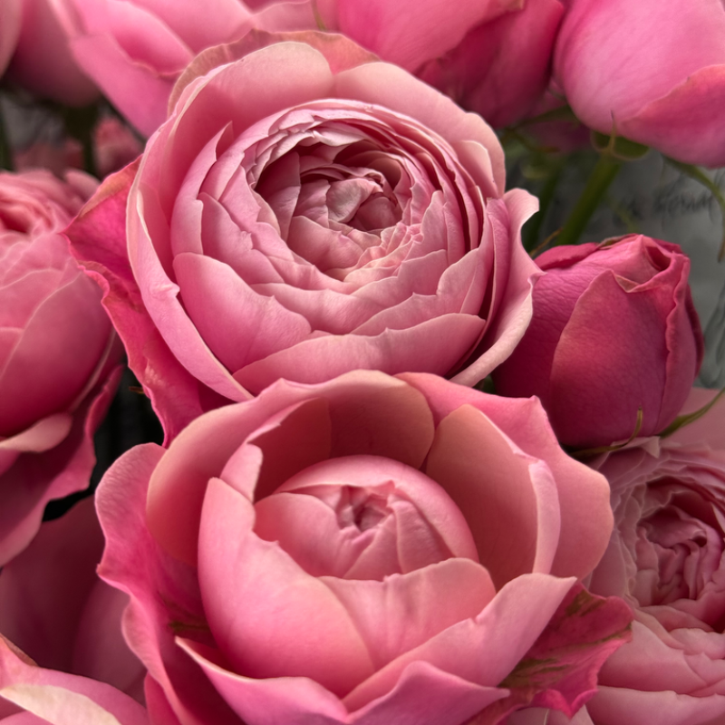 Букет « Silva Pink»