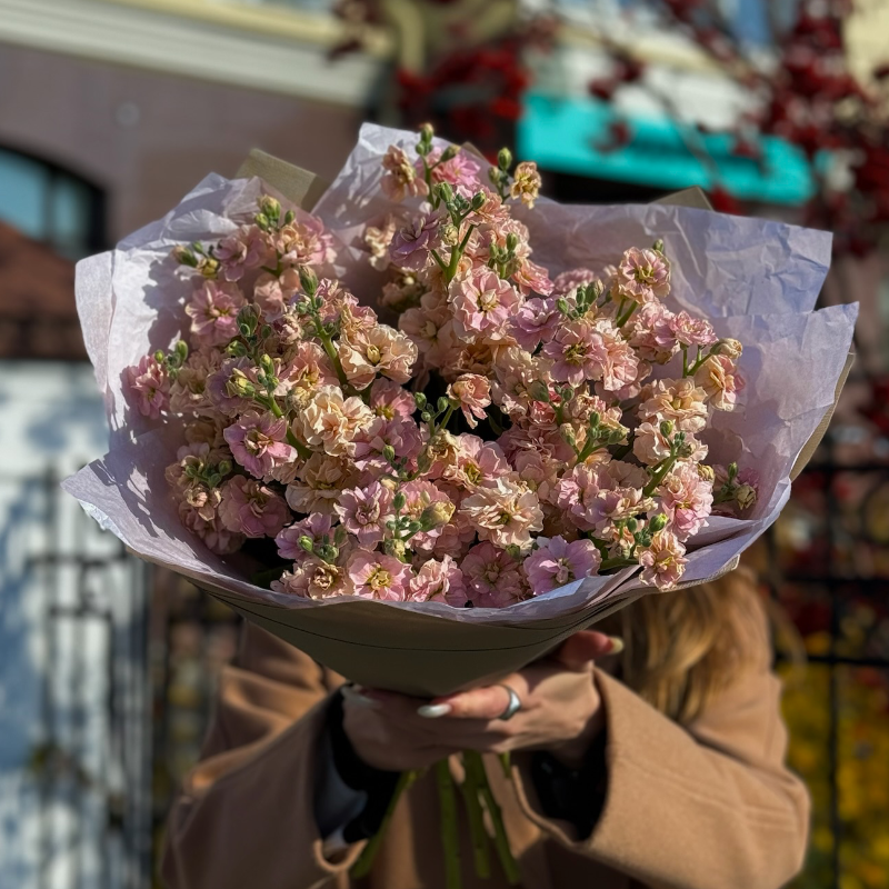 Букет из кустовой маттиолы