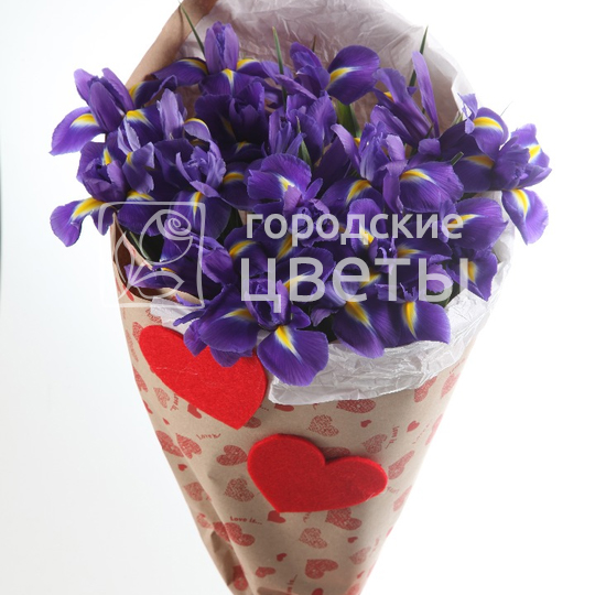 Монобукет из 25 ирисов