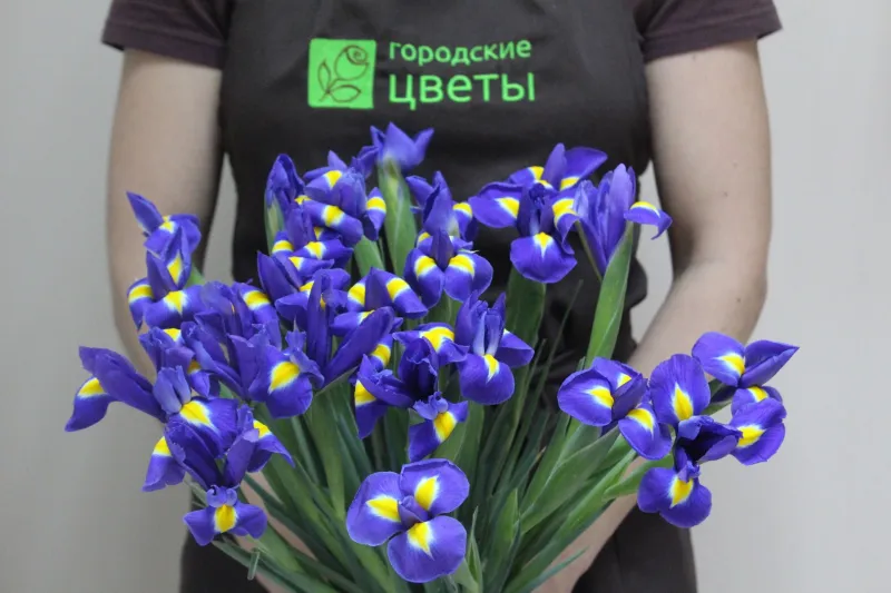 Монобукет «25 ирисов»