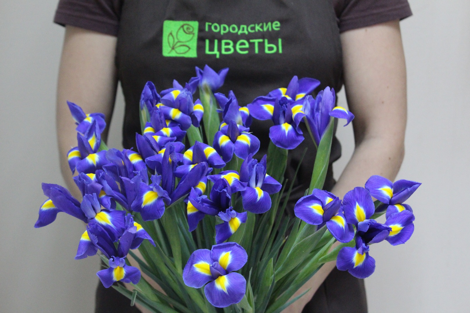 Монобукет «25 ирисов»